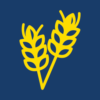GELBMANN-Piktogramme_05
